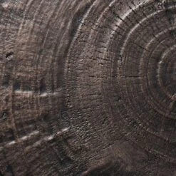 Grantsville Drum Accent Table Black - Threshold™ Designed With Studio McGee -Decor Home GUEST 2a48e59f 9a1e 4d95 a641 6710dbd36ebe