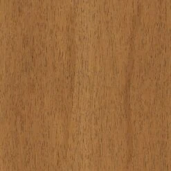 2pk Timo Dining Chair Cream - Threshold™ 15 2pk Timo Dining Chair Cream - Threshold™ -Decor Home GUEST 5d779e0e 0b3d 4661 9e88 19bec517fd72