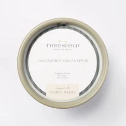 20oz Ceramic Blackberry Eucalyptus Candle Green - Threshold™ Designed With Studio McGee -Decor Home GUEST 870ce181 98d9 4be6 a455 6aadadca64e1