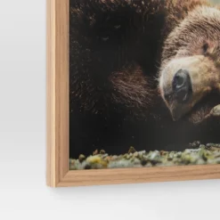 20" X 16" Bear Photography Framed Art Brown - Threshold™ -Decor Home GUEST 8d29808a 8d0a 4121 a8c8 64d15cc45658