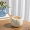 12oz Brushed Abstract Pumpkin Ceramic With Woodwick And Dustcover Warm Cider + Cinnamon Candle - Threshold™ -Decor Home GUEST a500439a 2905 497b 90d6 450705c0a5a5