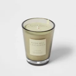 Colored Vase Glass With Dustcover Watermint And Eucalyptus Candle Green - Threshold™ -Decor Home GUEST ae8e6bdf 6741 4047 bc7b 87c9f71c548e