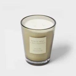 Colored Vase Glass With Dustcover Watermint And Eucalyptus Candle Green - Threshold™ -Decor Home GUEST c7ced8f8 1486 4167 bf53 4e77271a3df4